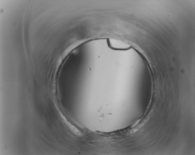 X0000066081525200603311922