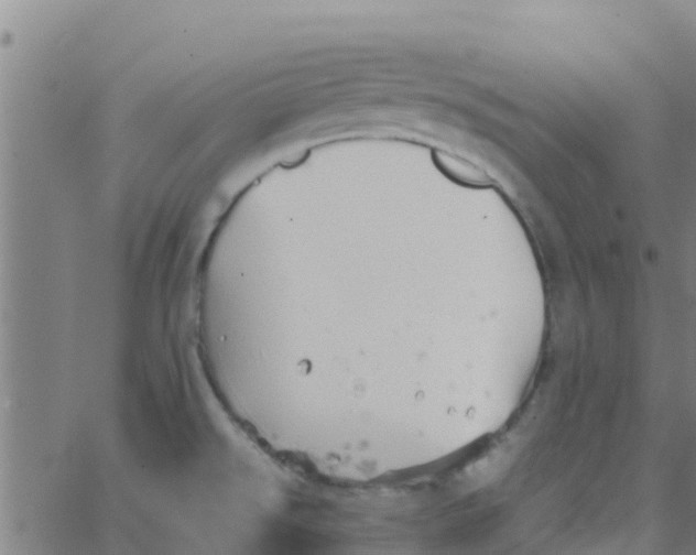 X0000066081526200603311922