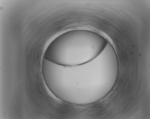 X0000066081528200603311922