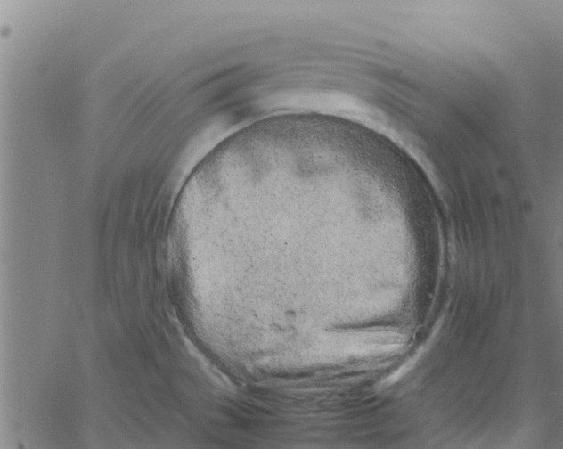 X0000066081529200603311922