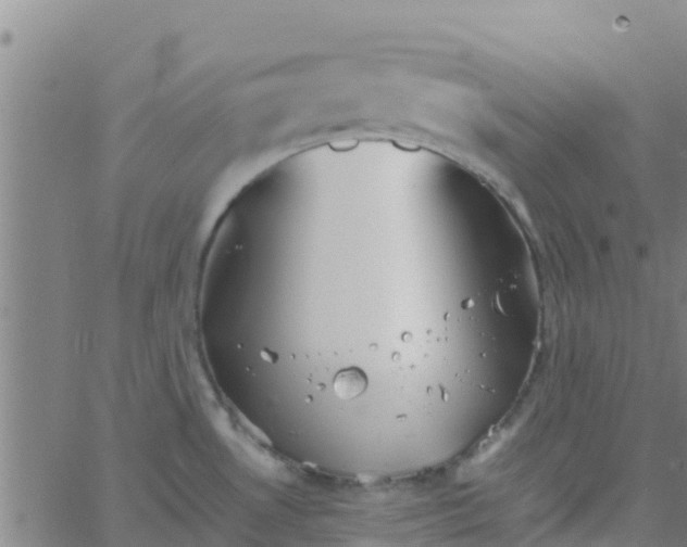 X0000066081530200603311922