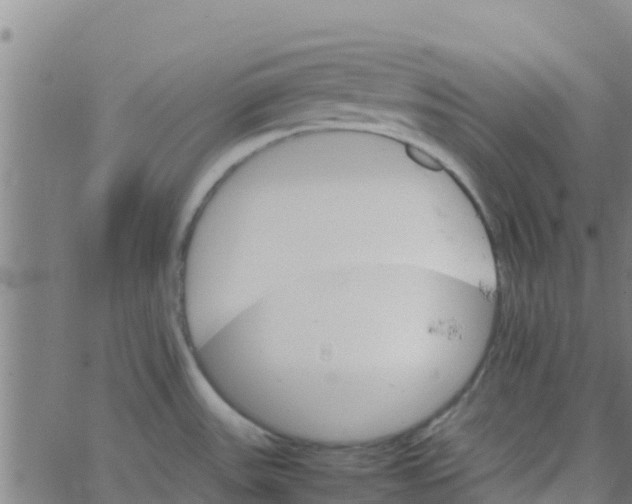 X0000066081531200603311922