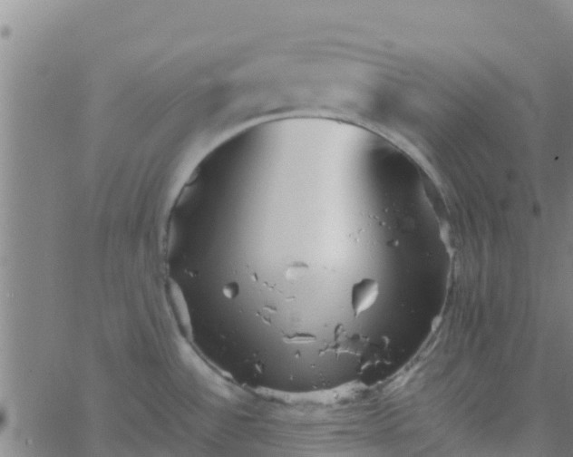 X0000066081532200603311922