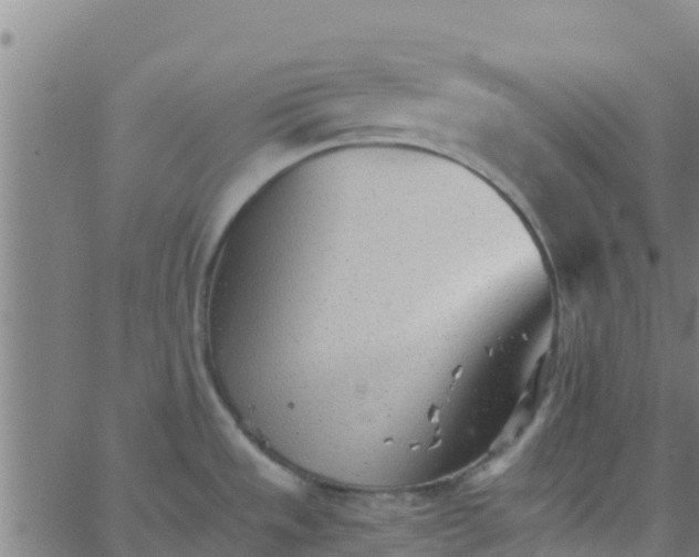 X0000066081533200603311922