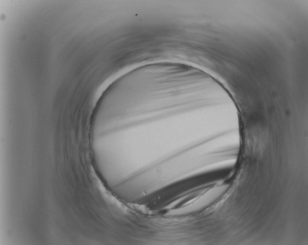 X0000066081534200603311922