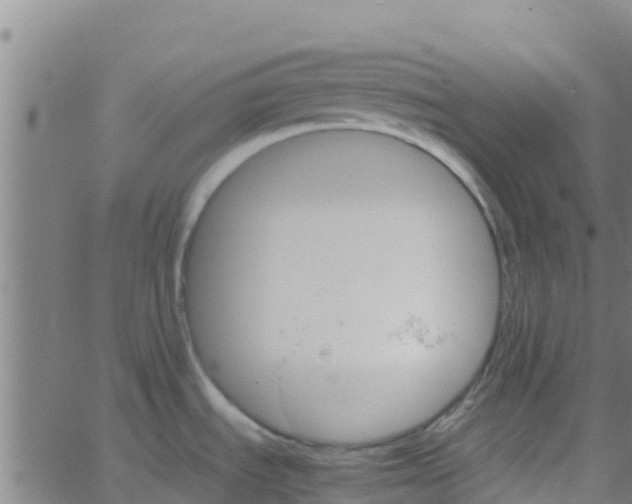 X0000066081535200603311922