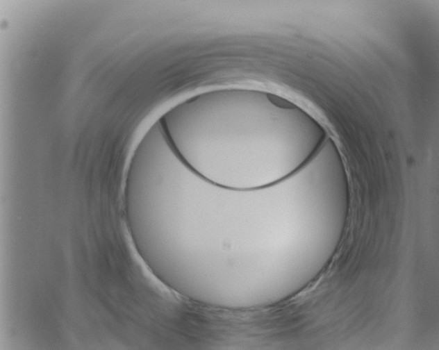 X0000066081536200603311922