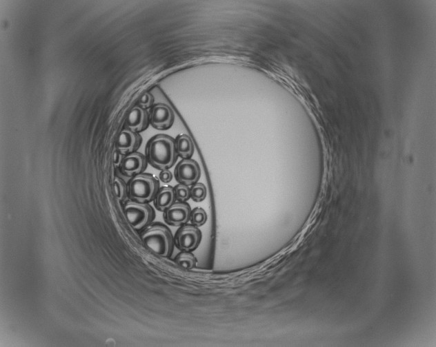 X0000066080001200604071743