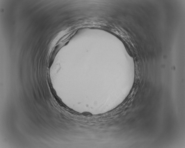 X0000066080003200604071743