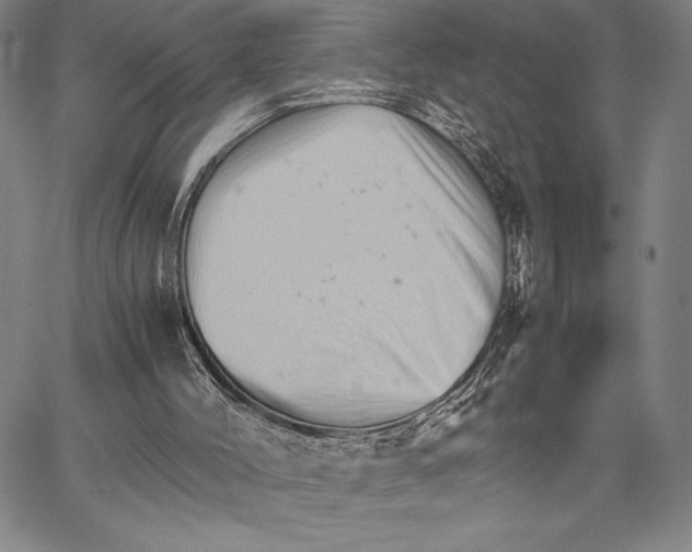 X0000066080004200604071743