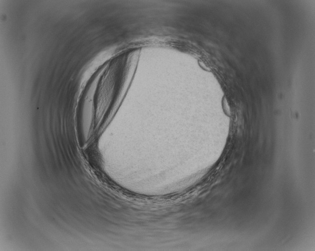 X0000066080006200604071743