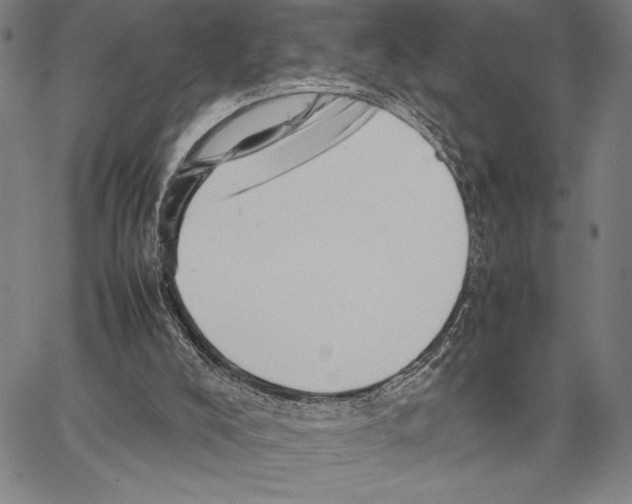 X0000066080008200604071743