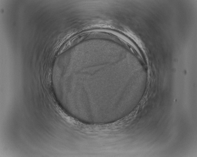 X0000066080009200604071743