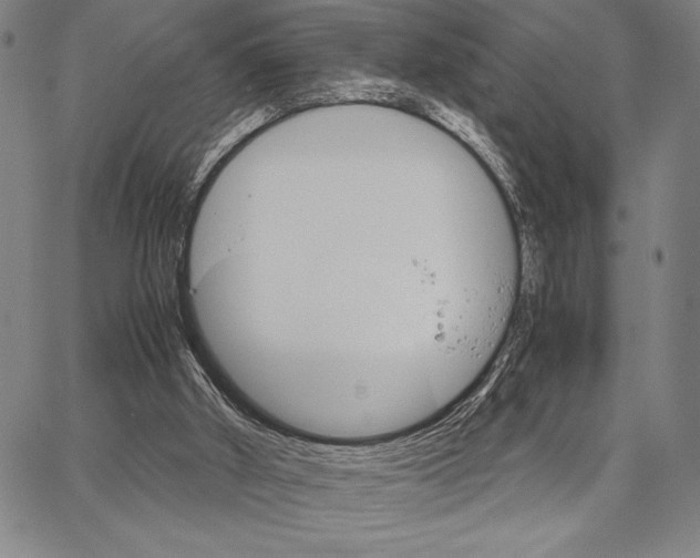 X0000066080010200604071743