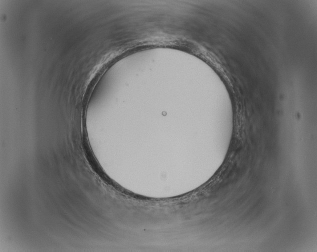 X0000066080011200604071743