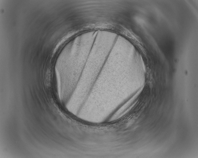 X0000066080012200604071743