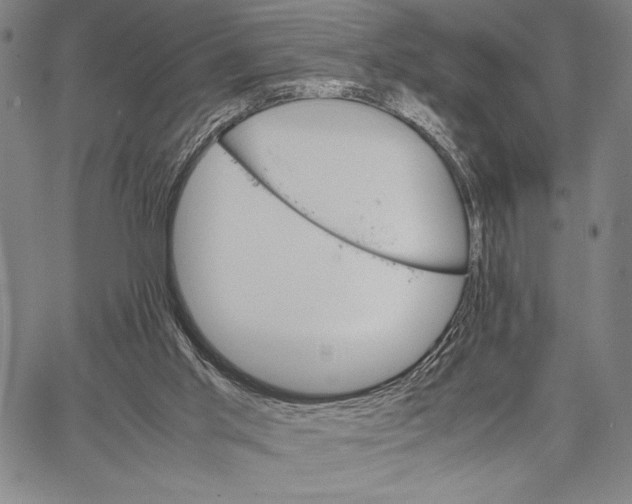 X0000066080013200604071743