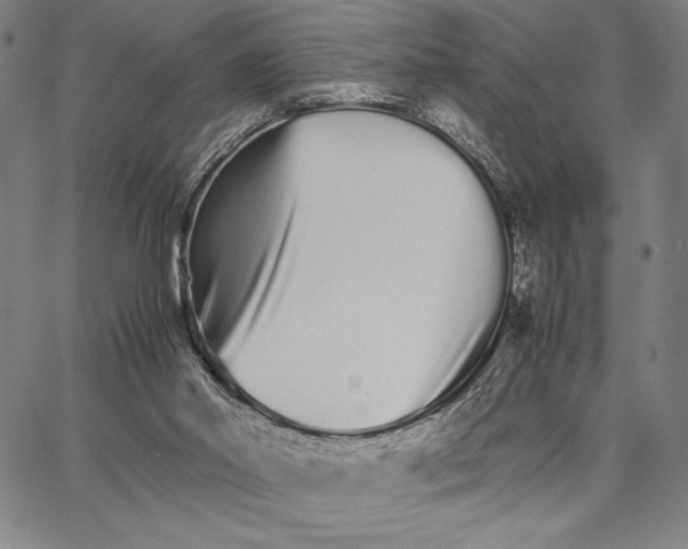 X0000066080014200604071743