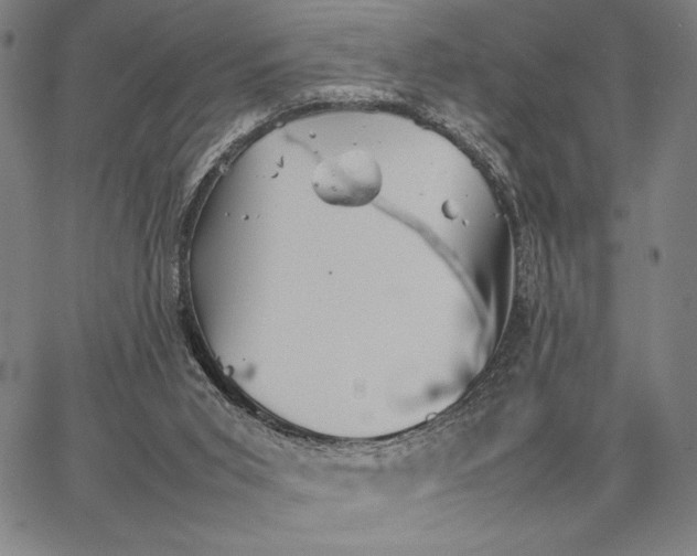 X0000066080015200604071743