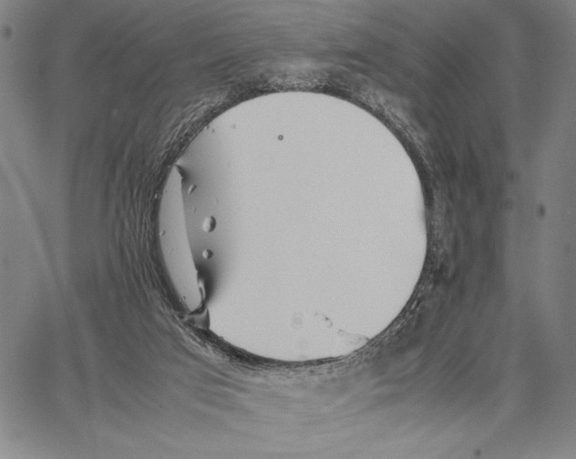 X0000066080017200604071743