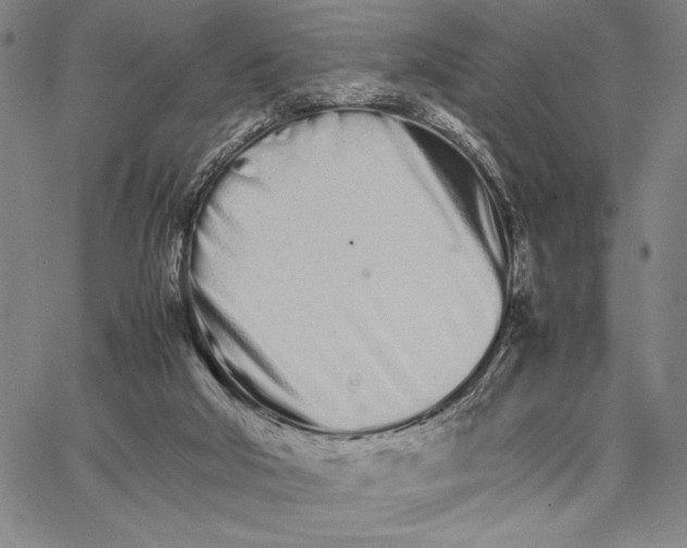 X0000066080018200604071743