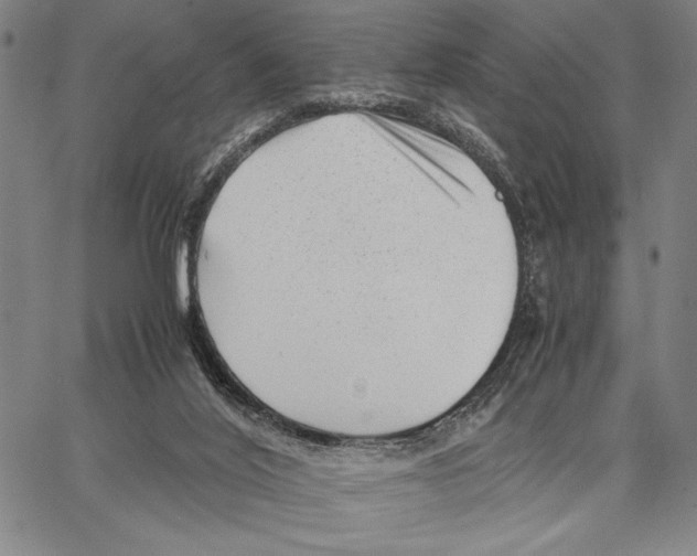 X0000066080020200604071743