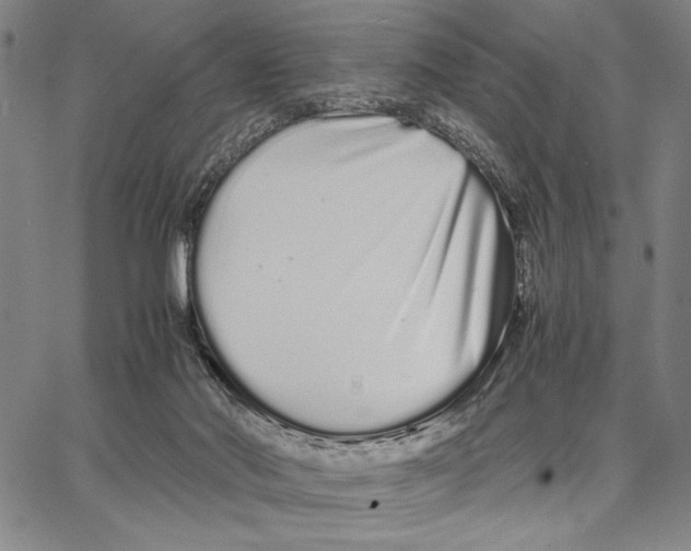 X0000066080022200604071743