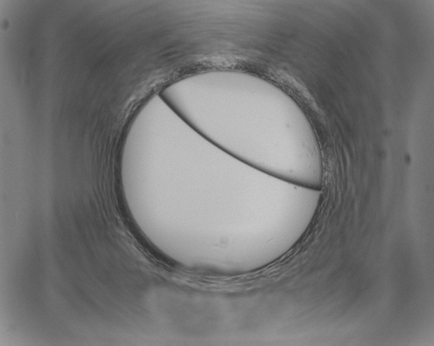 X0000066080023200604071743