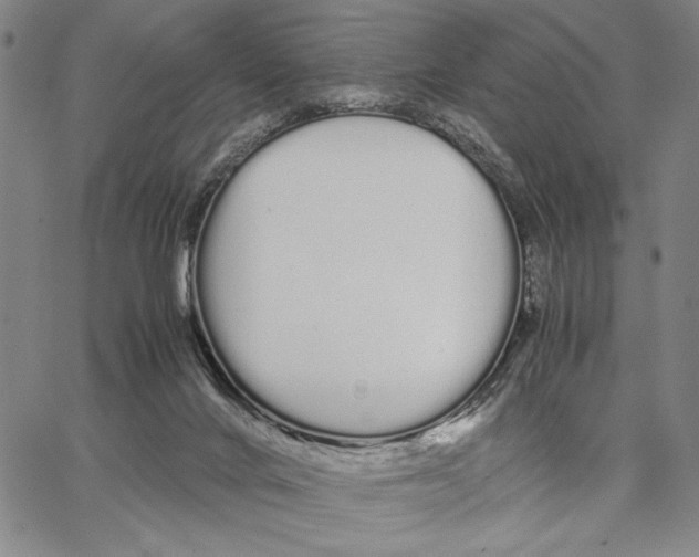 X0000066080024200604071743