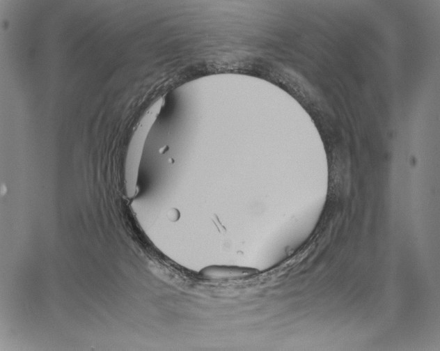 X0000066080025200604071743