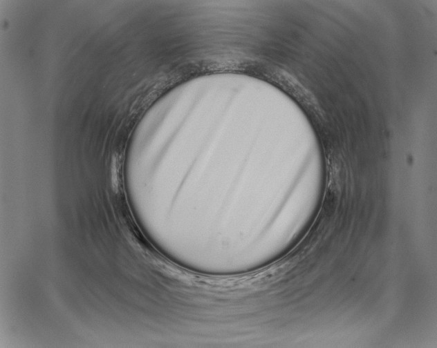 X0000066080026200604071743