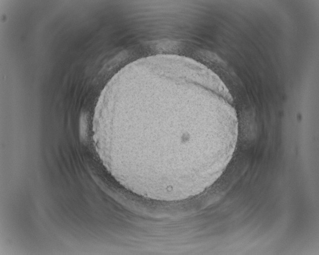 X0000066080028200604071743