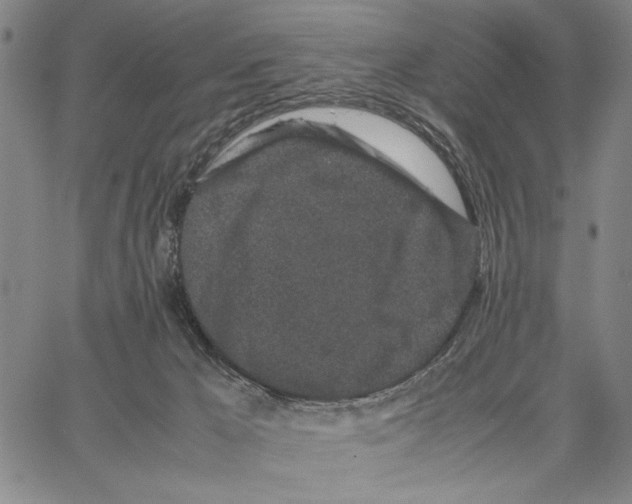 X0000066080029200604071743