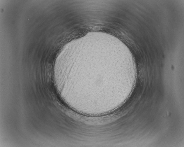 X0000066080030200604071743