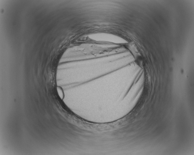 X0000066080031200604071743