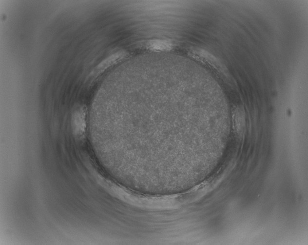 X0000066080032200604071743