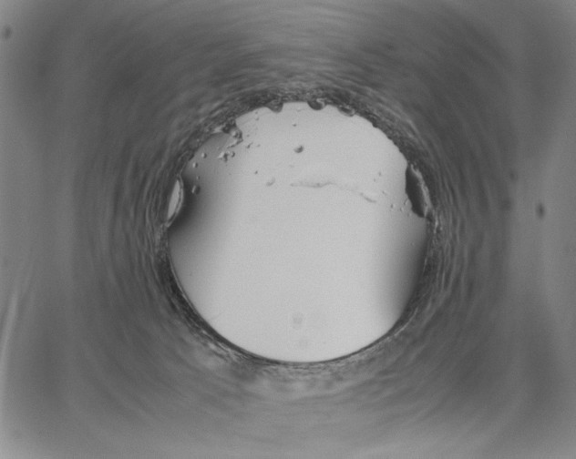 X0000066080033200604071743