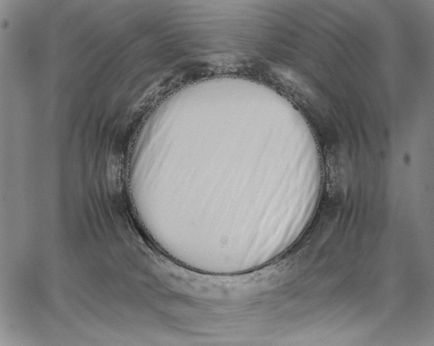 X0000066080034200604071743