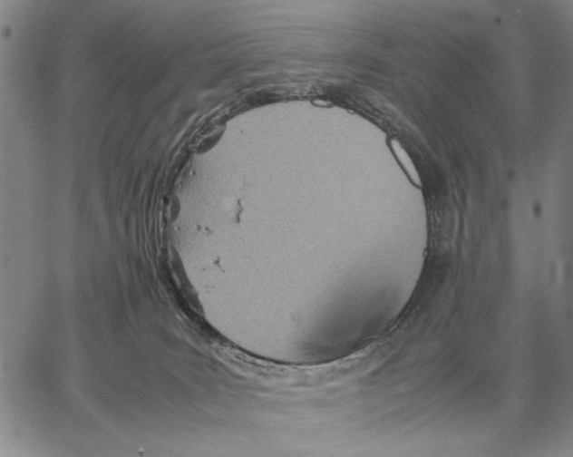 X0000066080035200604071743