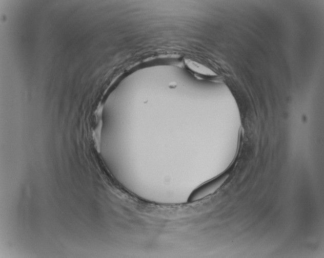 X0000066080037200604071743