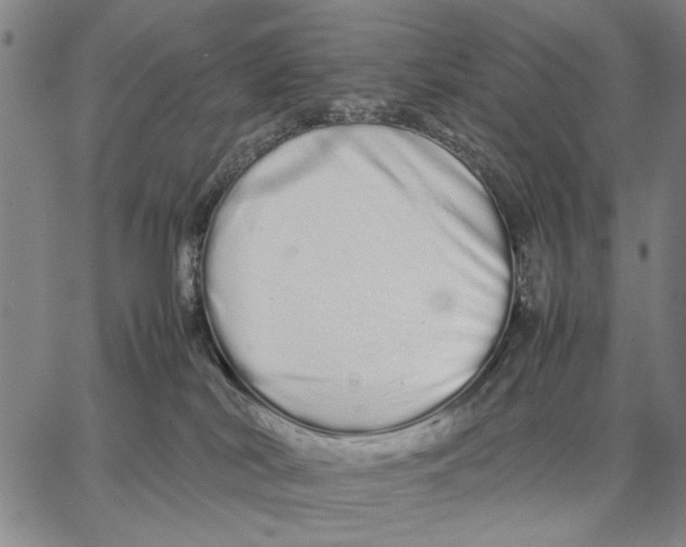 X0000066080038200604071743