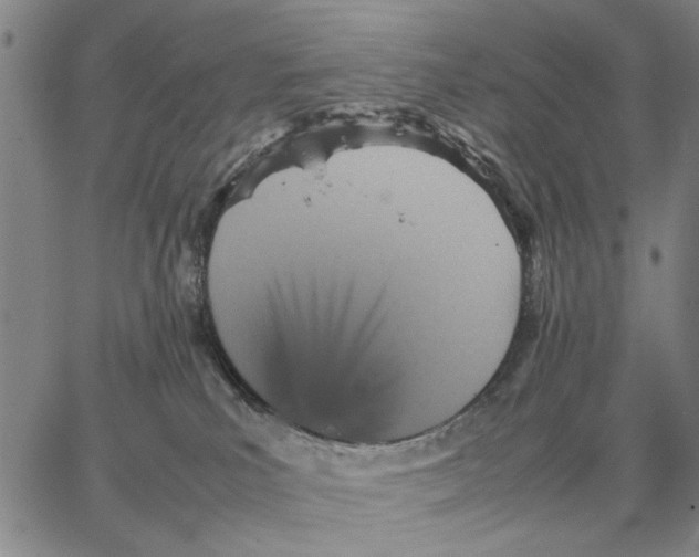 X0000066080039200604071743