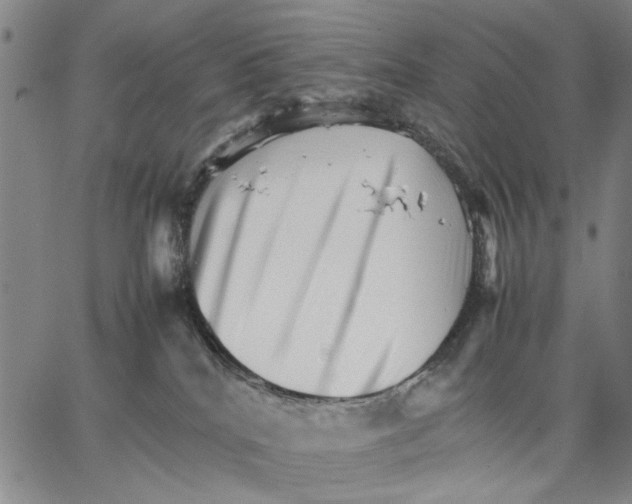 X0000066080040200604071743