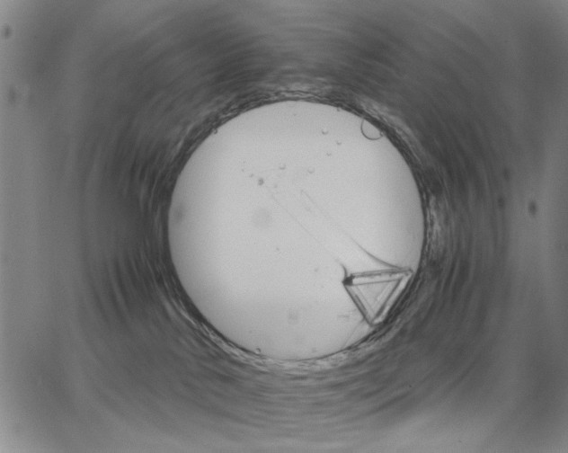 X0000066080042200604071743