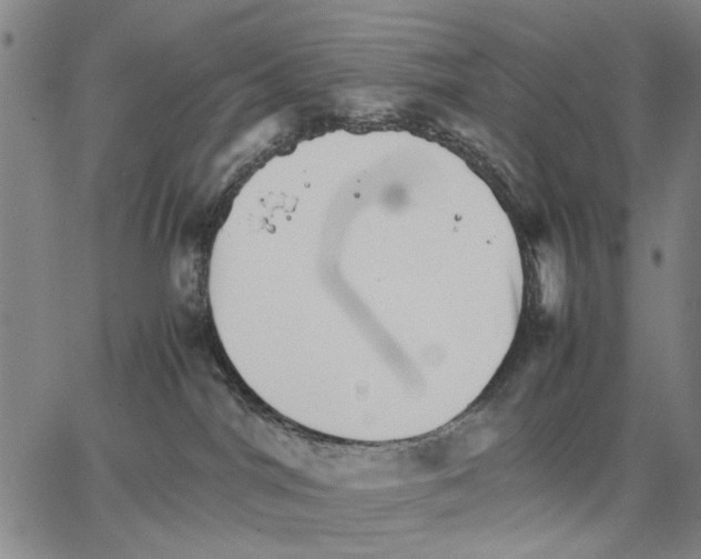 X0000066080044200604071743