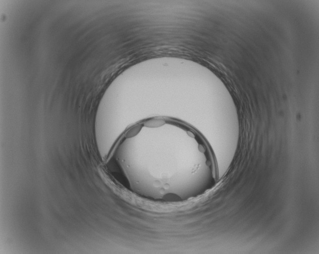 X0000066080047200604071743