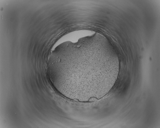 X0000066080048200604071743