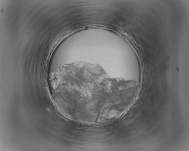 X0000066080049200604071742