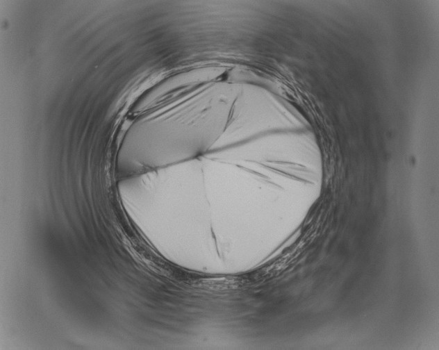 X0000066080050200604071742