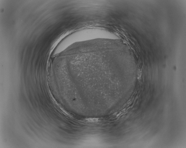 X0000066080052200604071742